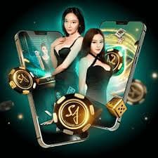 81bet